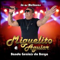 Miguelito aguiar e Banda Geniais do Brega's avatar cover