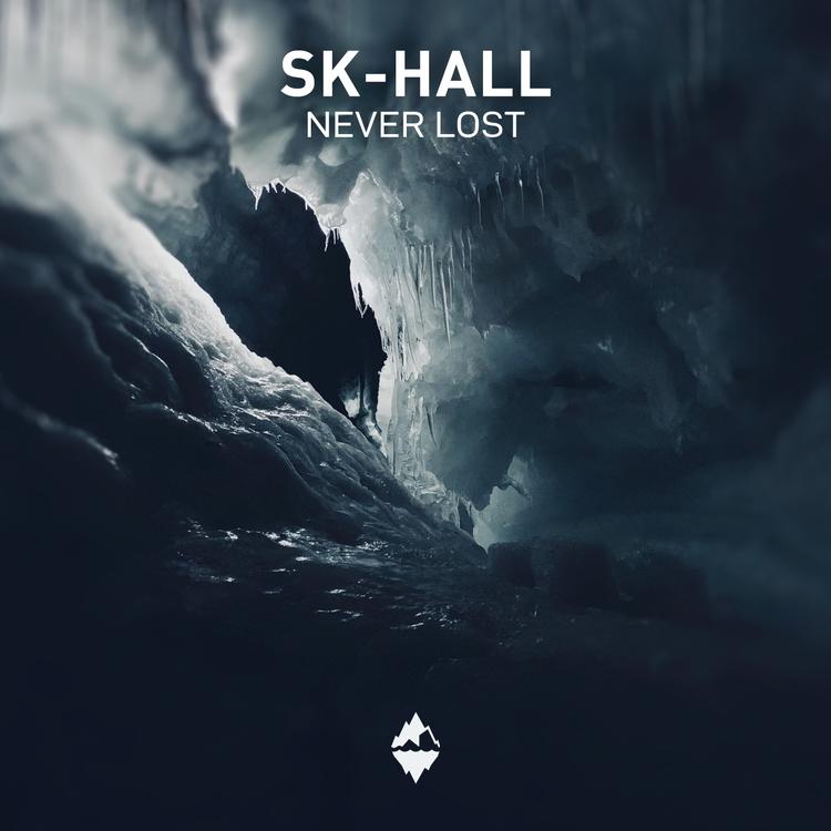 Sk-Hall's avatar image