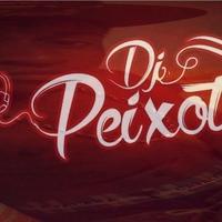 DJ Peixoto's avatar cover