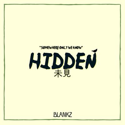 Hidden By Blankz's cover