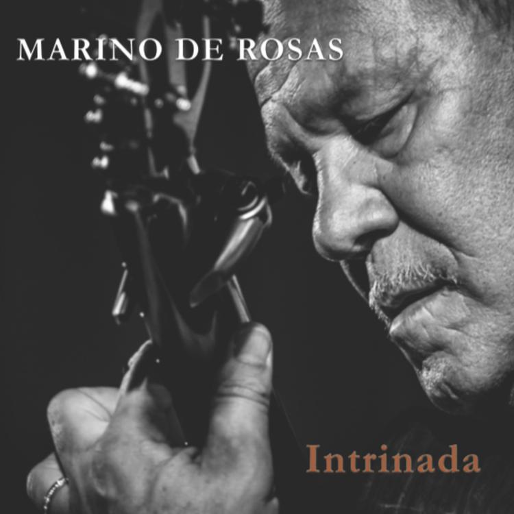 Marino De Rosas's avatar image