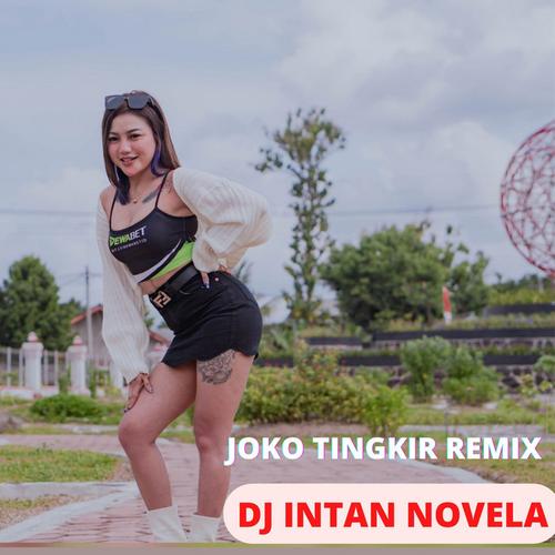 Dj Intan Novela Official Tiktok Music List Of Songs And Albums By Dj