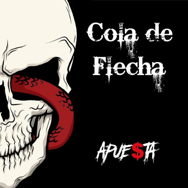 Cola de Flecha's avatar image