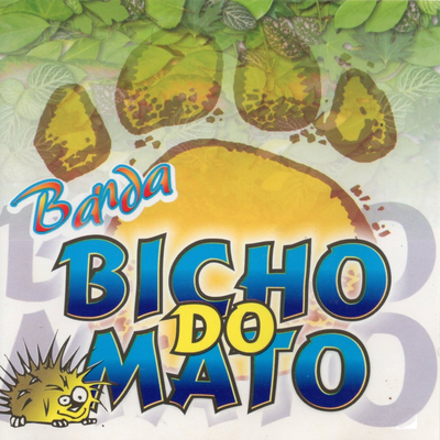 Te Amar é Bom Demais By Banda Bicho do Mato's cover