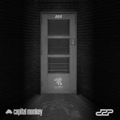 505 By Capital Monkey, Dzp's cover
