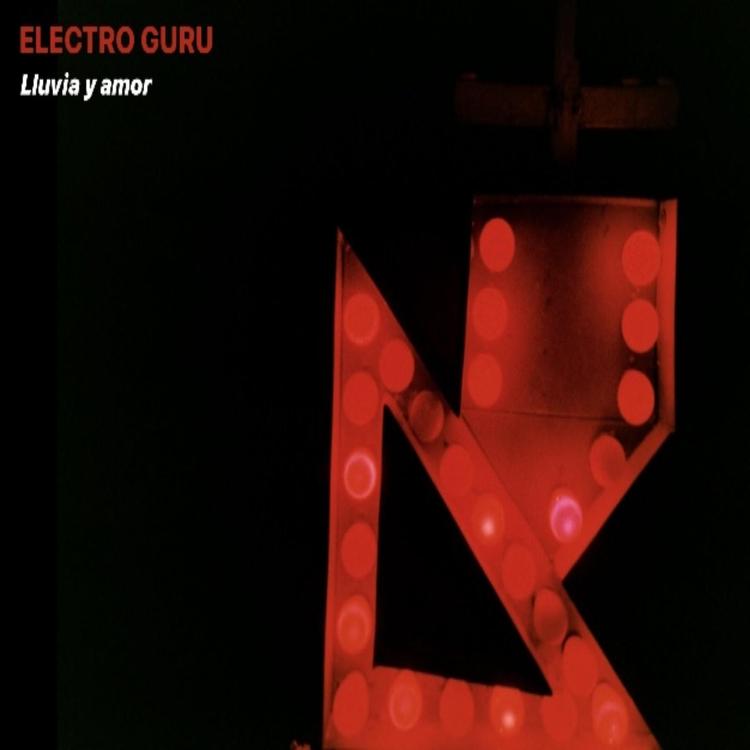 Electro Guru's avatar image