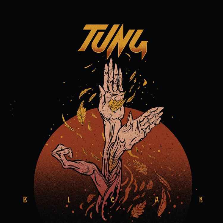 Tung's avatar image