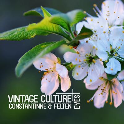 Eyes (Radio Edit) By Vintage Culture, Constantinne, Felten's cover