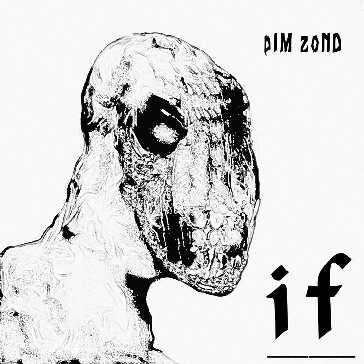 Pim Zond's avatar image