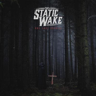 Take This to Your Grave By The Static Wake, Justin DeBlieck's cover