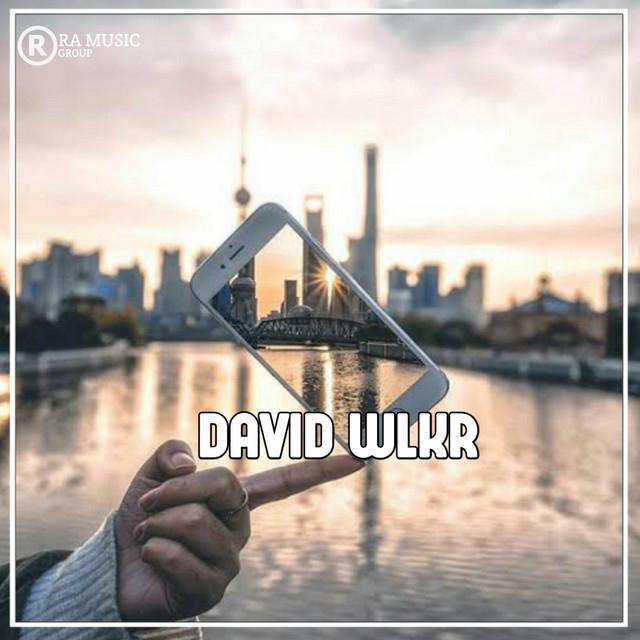 DAVID WLKR's avatar image