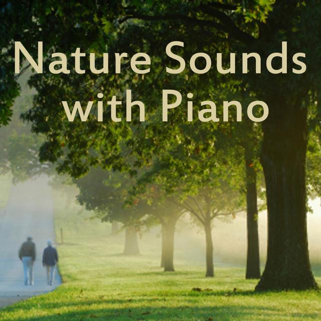 Music for Meditation and Relaxation's avatar image