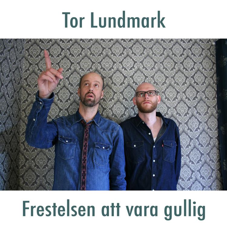 Tor Lundmark's avatar image