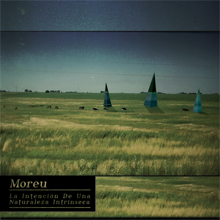 Moreu's avatar image