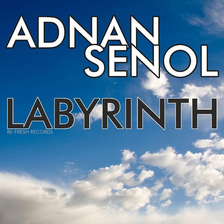 Adnan Senol's avatar image