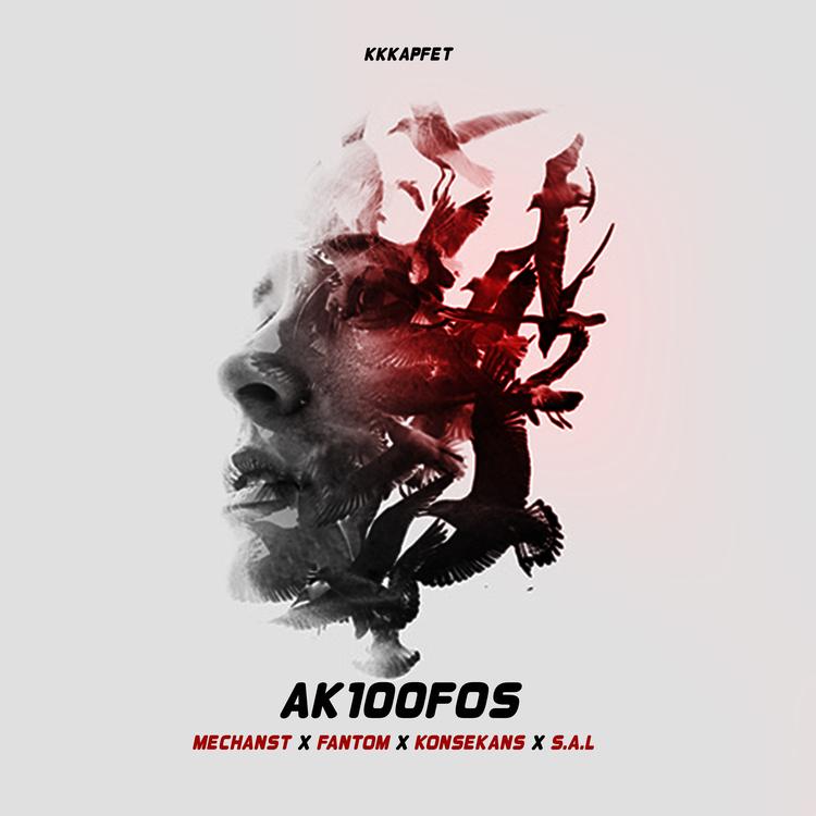 Ak100Fos's avatar image