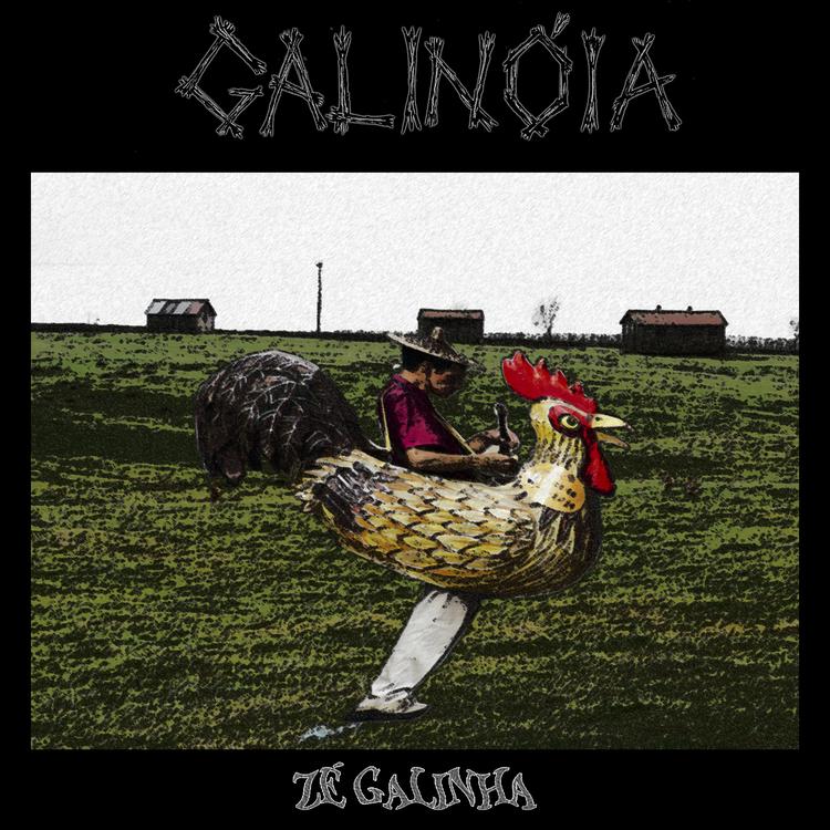 Galinóia's avatar image