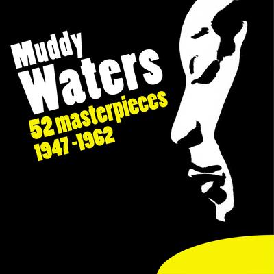 Mean Red Spider By Muddy Waters's cover