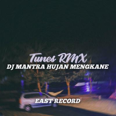 Tunes RMX's cover