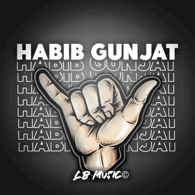 HABIB GUNJAT's avatar image