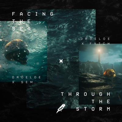 Through The Storm By DROELOE, Fytch's cover