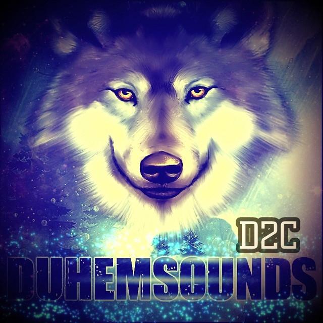 Duhemsounds's avatar image