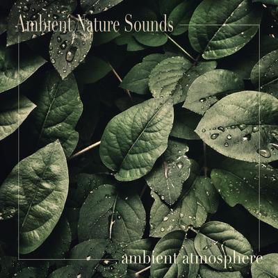 Ambient Nature Sounds's cover