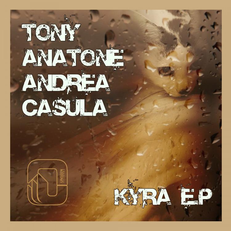 Tony Anatone & Andrea Casula's avatar image