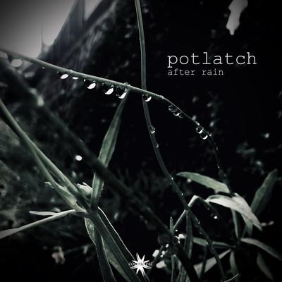 After Rain By Potlatch's cover