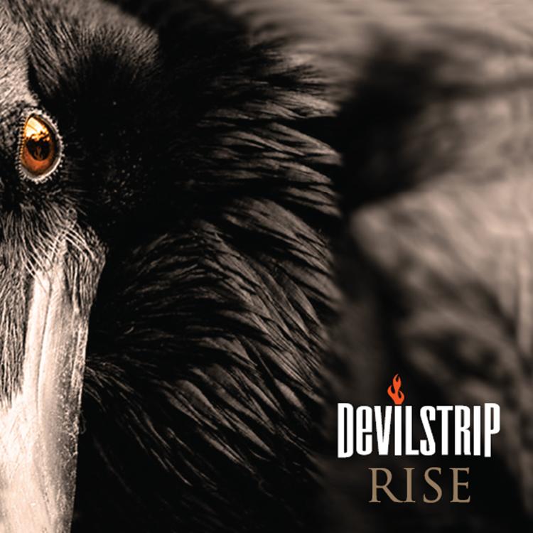Devilstrip's avatar image