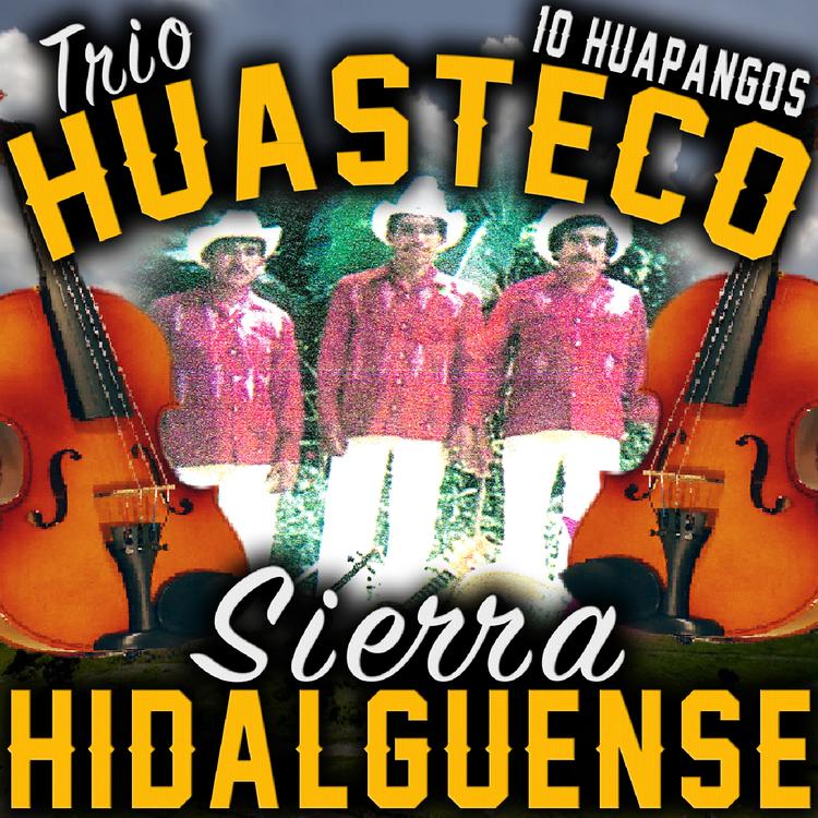 Trio Huasteco Sierra Hidalguense's avatar image