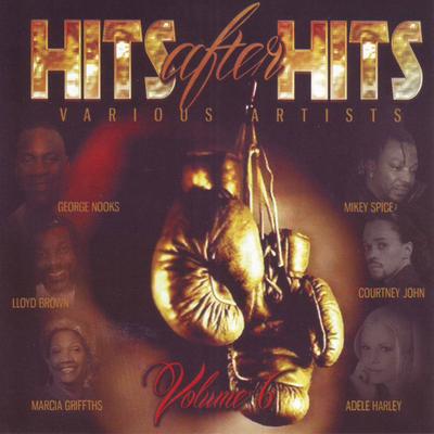 Hits After Hits Vol. 6's cover