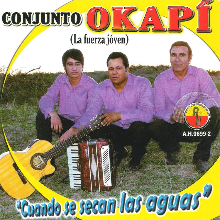 Conjunto Okapí's avatar image