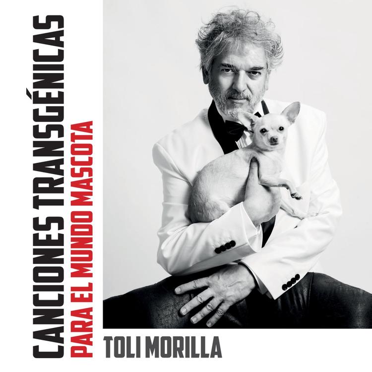 Toli Morilla's avatar image