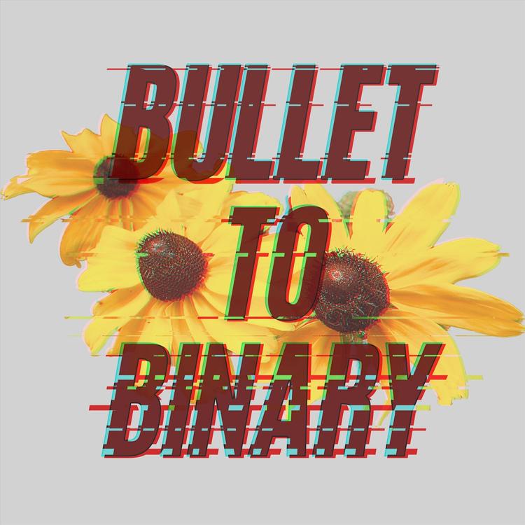 Bullet to Binary's avatar image