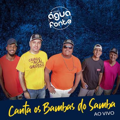 Batucada dos Nossos Tantãs / Conselho / Insensato Destino (Ao Vivo) By Grupo Água da Fonte's cover