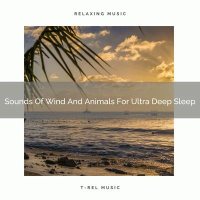 Sounds Of Wind And Animals For Ultra Deep Sleep's cover