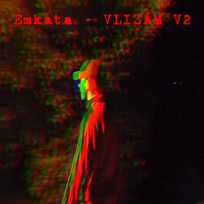 Vlizam V 2's cover