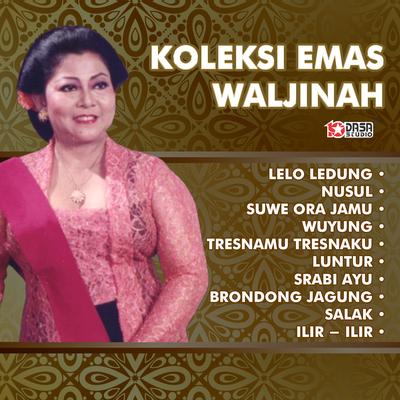 Koleksi Emas Waljinah - Lelo Ledung's cover