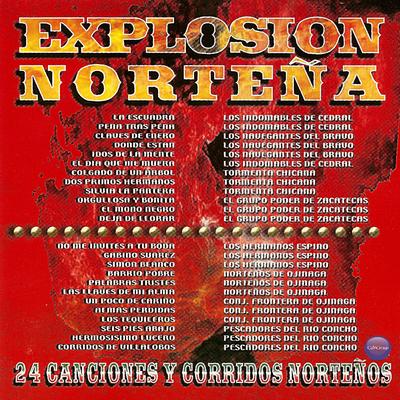 Explosion Norteña: 24 Canciones y Corridos Norteños's cover