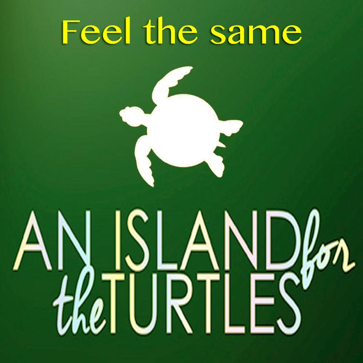 An Island For The Turtles's avatar image