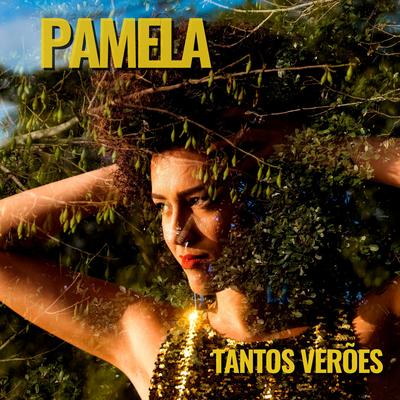 Os Porquês By Pamela's cover