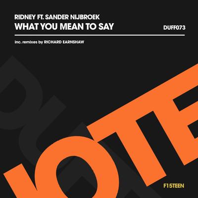 What You Mean To Say (Richard Earnshaw Radio Edit) By Ridney, Sander Nijbroek, Richard Earnshaw's cover