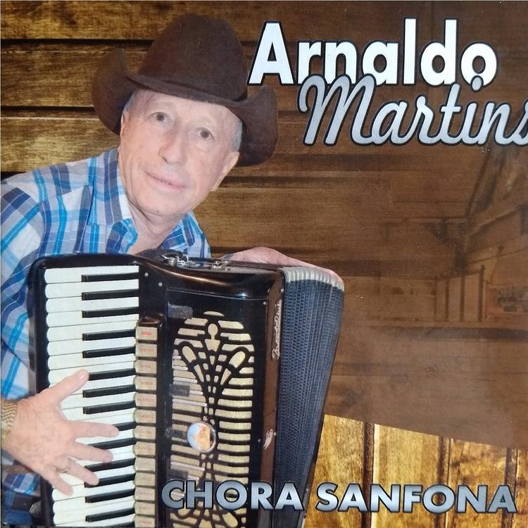 Arnaldo Martins's avatar image