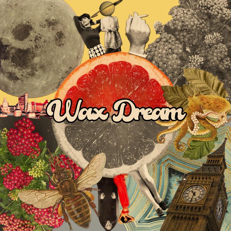 Wax Dream's avatar image