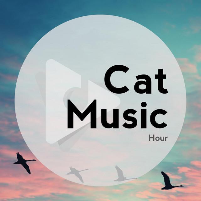 Cat Music Hour's avatar image