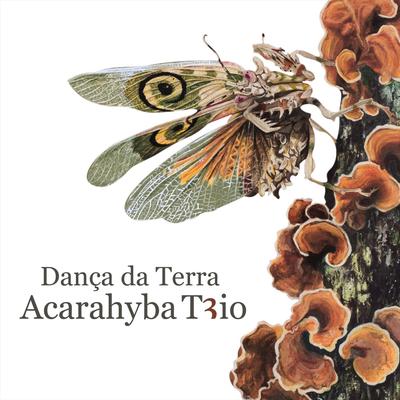 Encontro Das Águas (Bonus Track) By Acarahyba Trio's cover