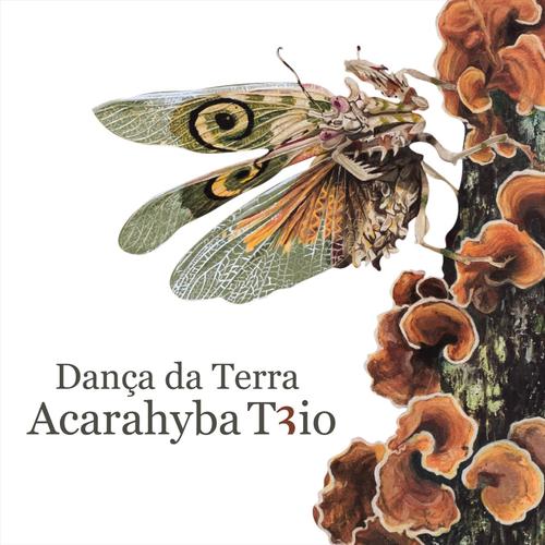 Dança da Terra - Full Album's cover