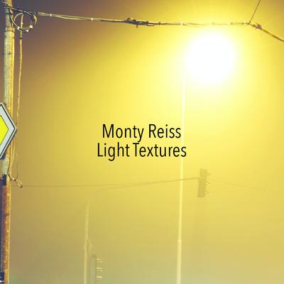 Satin Night By Monty Reiss's cover