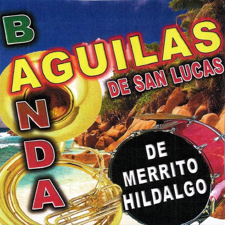 Banda Aguilas De San Lucas's avatar image